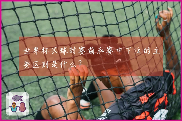 世界杯买球时赛前和赛中下注的主要区别是什么？