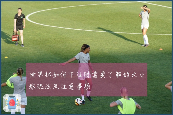 世界杯如何下注时需要了解的大小球玩法及注意事项
