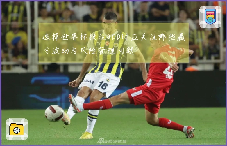 选择世界杯投注app时应关注哪些赢亏波动与风险管理问题