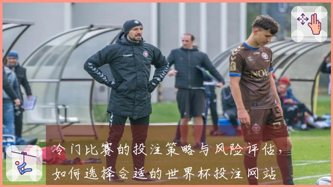冷门比赛的投注策略与风险评估，如何选择合适的世界杯投注网站