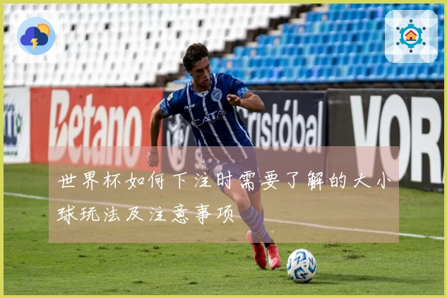 世界杯如何下注时需要了解的大小球玩法及注意事项