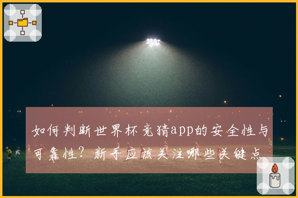 如何判断世界杯竞猜app的安全性与可靠性？新手应该关注哪些关键点