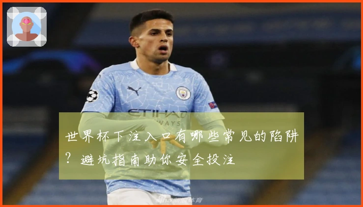 世界杯下注入口有哪些常见的陷阱？避坑指南助你安全投注