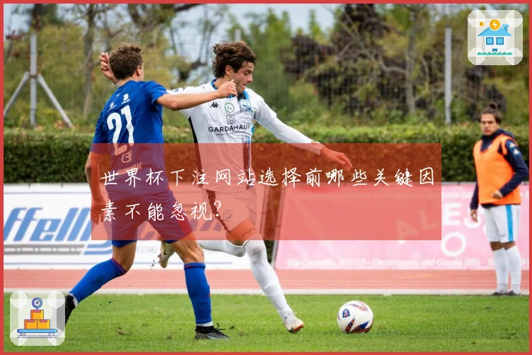 世界杯下注网站选择前哪些关键因素不能忽视？