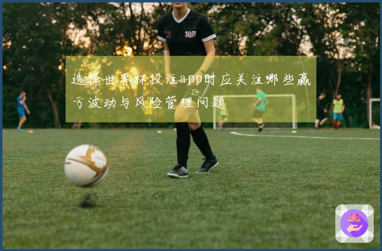 选择世界杯投注app时应关注哪些赢亏波动与风险管理问题