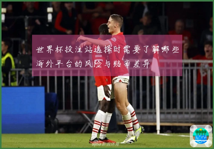 世界杯投注站选择时需要了解哪些海外平台的风险与赔率差异