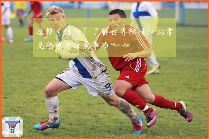选择可信吗？了解世界杯投注站常见陷阱与注意事项