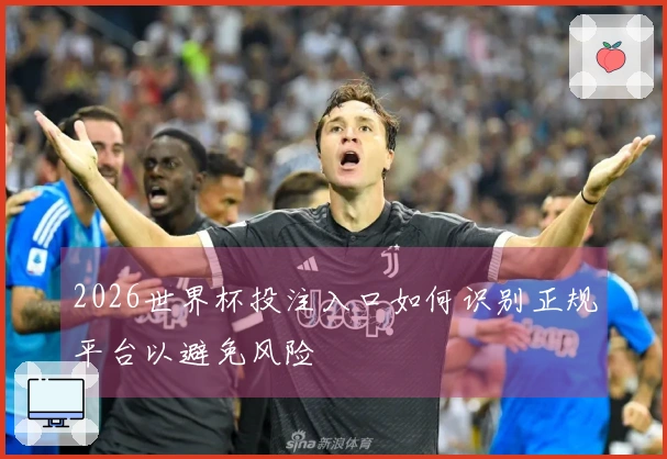 2026世界杯投注入口如何识别正规平台以避免风险