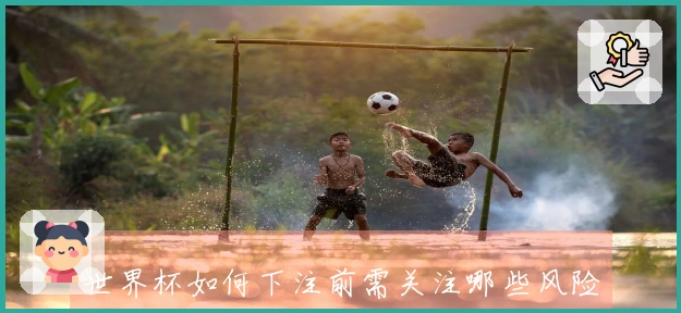 世界杯如何下注前需关注哪些风险与控制策略
