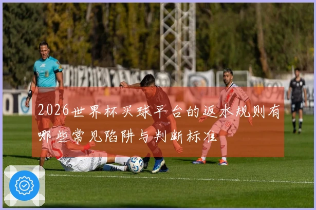 2026世界杯买球平台的返水规则有哪些常见陷阱与判断标准
