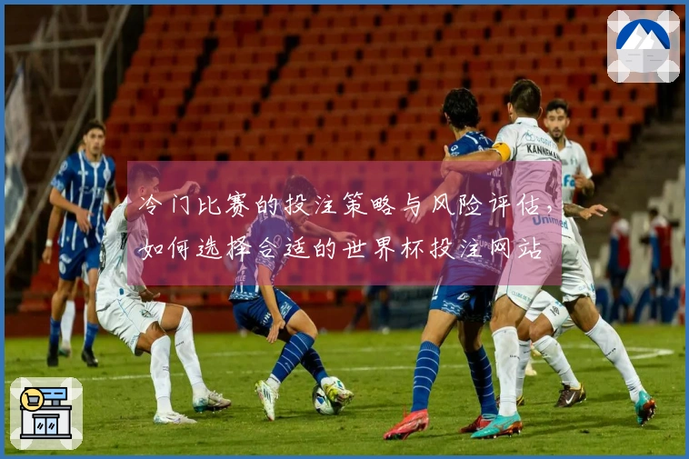冷门比赛的投注策略与风险评估，如何选择合适的世界杯投注网站