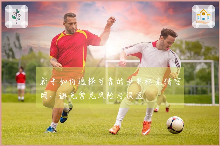 新手如何选择可靠的世界杯竞猜官网，避免常见风险与误区