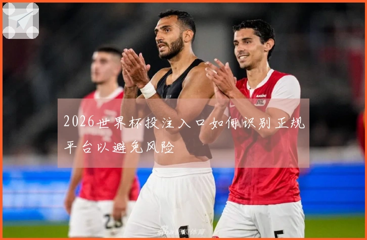 2026世界杯投注入口如何识别正规平台以避免风险