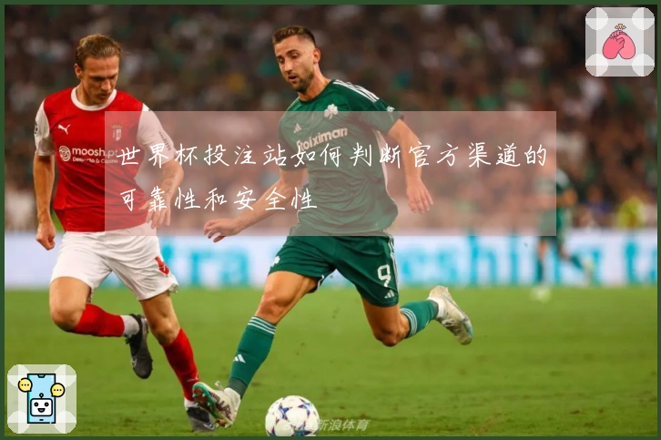 世界杯投注站如何判断官方渠道的可靠性和安全性