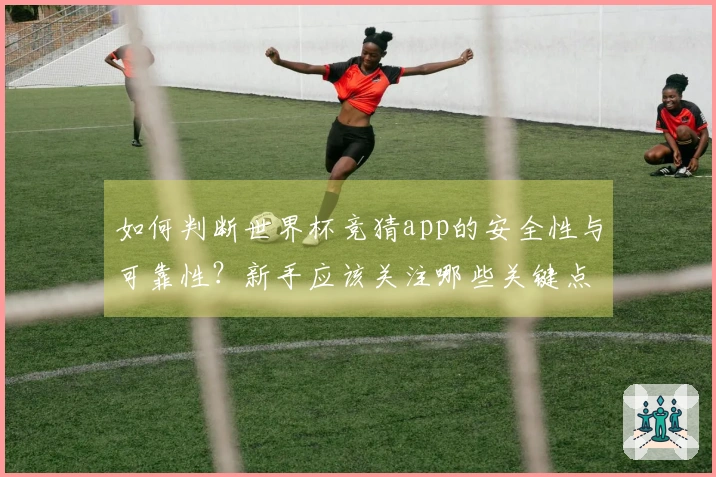 如何判断世界杯竞猜app的安全性与可靠性？新手应该关注哪些关键点