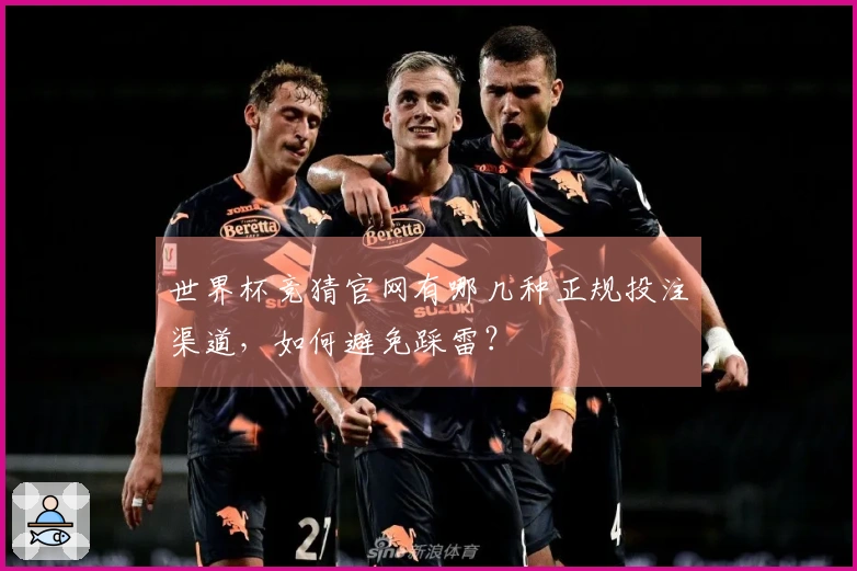 世界杯竞猜官网有哪几种正规投注渠道，如何避免踩雷？