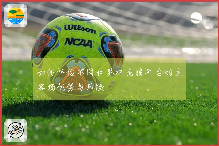 如何评估不同世界杯竞猜平台的主客场优势与风险