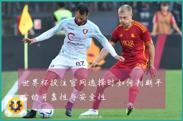世界杯投注官网选择时如何判断平台的可靠性与安全性