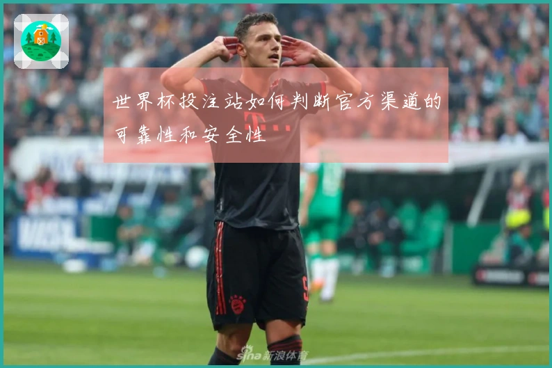 世界杯投注站如何判断官方渠道的可靠性和安全性