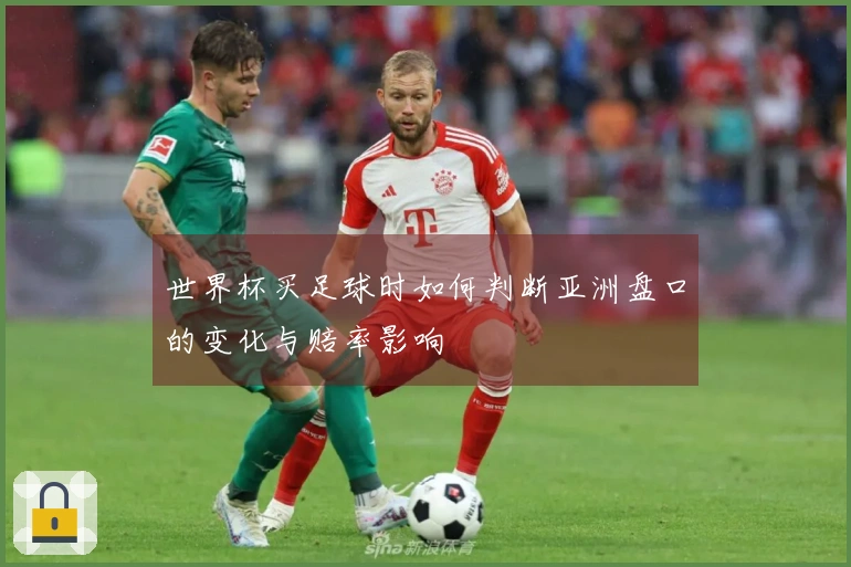 世界杯买足球时如何判断亚洲盘口的变化与赔率影响