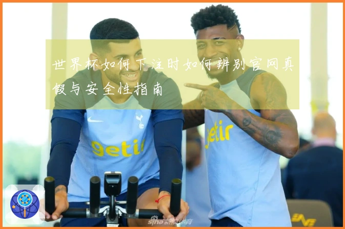 世界杯如何下注时如何辨别官网真假与安全性指南